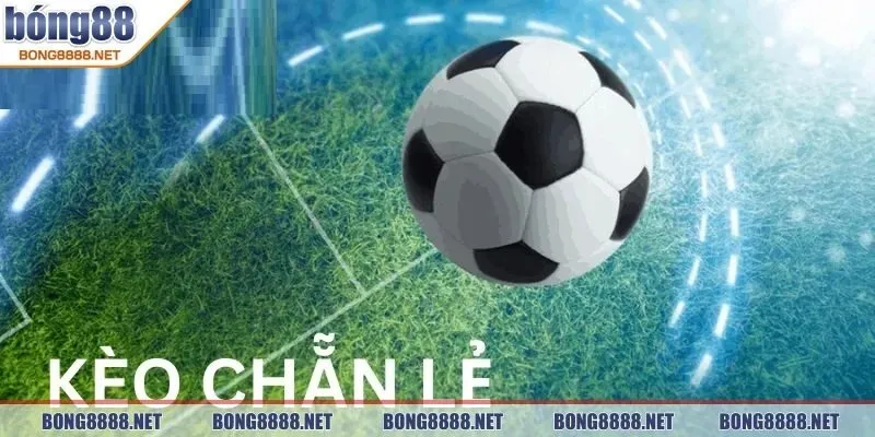 Kèo Chẵn Lẻ BONG88 - Cơ Hội Thắng Trong Từng Phút Thi Đấu 4 Một số loại phổ biến khi nhắc đến kèo chẵn lẻ BONG88