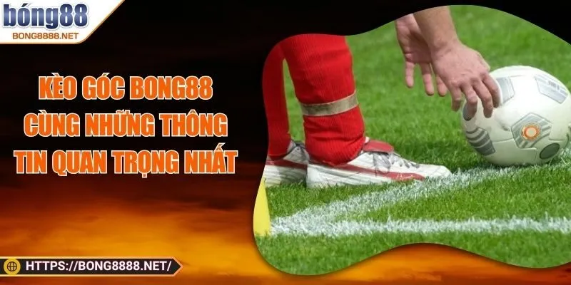 Kèo góc Bong88 cùng những thông tin quan trọng nhất