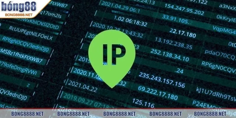 Link Vào BONG88 Bằng Nhà Mạng Vinaphone Cho Cược Thủ 4 Đổi IP để trải nghiệm trang web dễ dàng hơn